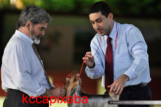 Clique sobre a foto para fechar